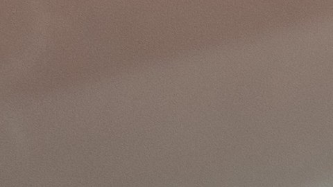 Retiran del mercado unos 5 millones de libras de pollo congelado por contaminación metálica