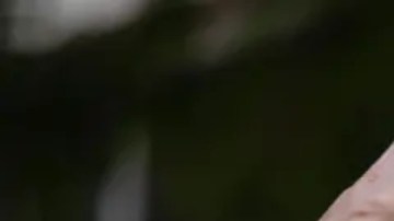 Machado lideró una operación para recolectar y publicar actas electorales que mostraban que Nicolás Maduro había sido derrotado en las urnas.