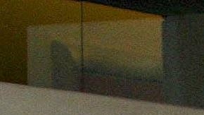 Marco Chacón y Maribel Guardia