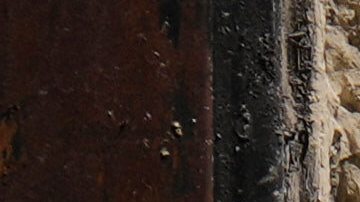 “El presidente debería centrarse en reducir los costos aquí en casa, no en favorecer a su aliado extranjero”, reclaman legisladores.