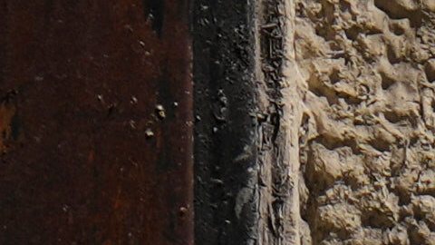 “El presidente debería centrarse en reducir los costos aquí en casa, no en favorecer a su aliado extranjero”, reclaman legisladores.