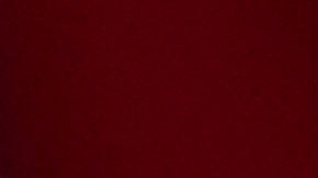 Con 24 años, la modelo francesa volvió a estar en el centro de la conversación tras desfilar para Miu Miu en la Semana de la Moda de París.