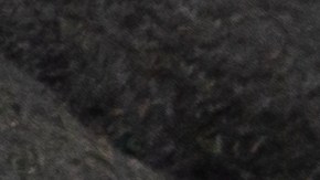 Una emocionante búsqueda de monedas raras comienza en Estados Unidos