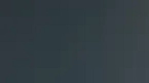 El oficial Franklin había ingresado al SDPS en junio de 2013 y era miembro del Equipo Táctico de la unidad