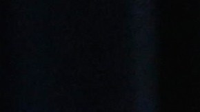 Se estima que 750,000 empleados federales han sido suspendidos temporalmente de sus funciones.