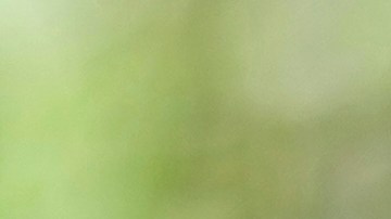 Petro reclamó a Estados Unidos haber 'asesinado' a un pescador colombiano en el ataque a una supuesta narcolancha.