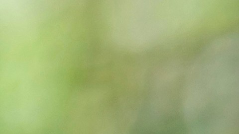 Petro reclamó a Estados Unidos haber 'asesinado' a un pescador colombiano en el ataque a una supuesta narcolancha.