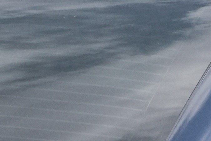 El padre de familia acudió el 5 de septiembre a una cita rutinaria en una oficina de inmigración en Tampa. Allí fue detenido por agentes de ICE.