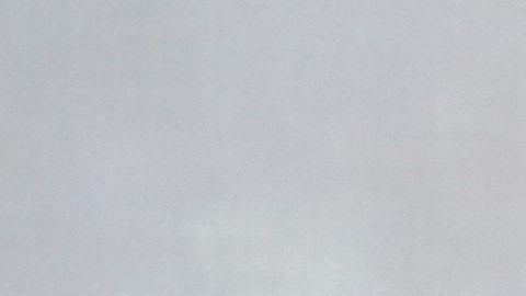 Andrea Vélez (d), ciudadana estadounidense, fue arrestada por ICE y absuelta de cargos falsos.