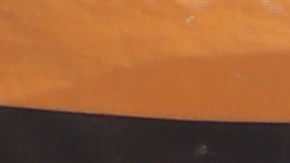 Aficiondos respaldan a los manifestantes afuera del estadio de los Dodgers.