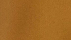 La discusión duró seis minutos y fue captada por las cámaras.