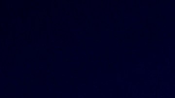 Google decidió eliminar de la Play Store todas las apps que facilitan el rastreo de agentes de ICE