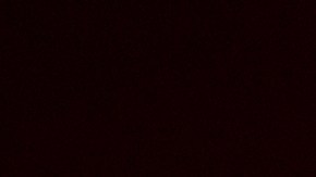 Las autoridades no han revelado los nombres de las víctimas ni del atacante, mientras siguen investigando el posible motivo detrás de los asesinatos.