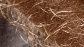 González trabajaba como entrenador en una escuela secundaria del condado y también dirigía un club privado de voleibol para niñas.