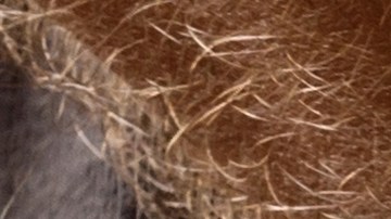 González trabajaba como entrenador en una escuela secundaria del condado y también dirigía un club privado de voleibol para niñas.