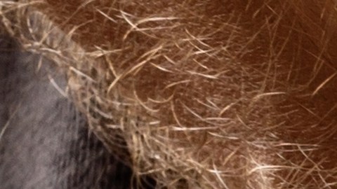 González trabajaba como entrenador en una escuela secundaria del condado y también dirigía un club privado de voleibol para niñas.