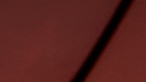 La mujer, identificada como Gbemisola Akayinode, de 36 años, fue arrestada el viernes y compareció por primera vez ante el tribunal este domingo.