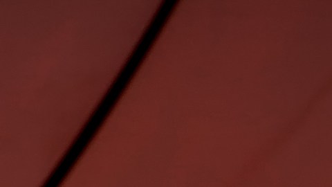 La mujer, identificada como Gbemisola Akayinode, de 36 años, fue arrestada el viernes y compareció por primera vez ante el tribunal este domingo.