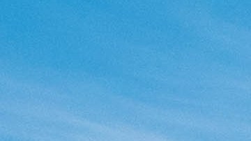 La mujer exige una indemnización superior a $50,000 dólares por lesiones físicas y mentales que, según ella, son permanentes.