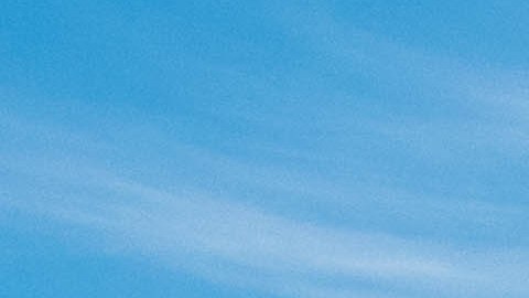 La mujer exige una indemnización superior a $50,000 dólares por lesiones físicas y mentales que, según ella, son permanentes.