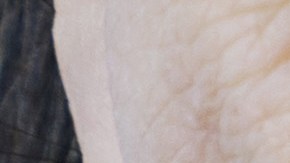 La mujer fue trasladada al Centro Correccional TGK del condado de Miami-Dade, donde permanece detenida sin derecho a fianza.