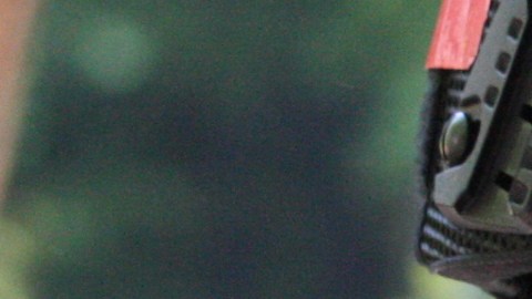 Los conductores detenidos, según el DHS, están vinculados a delitos como tráfico de drogas, fraude y conducción bajo los efectos del alcohol.