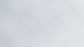 Romelus enfrenta una fianza de $14 millones de dólares y permanece detenida en el condado de Brazoria.