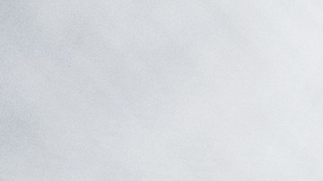 Romelus enfrenta una fianza de $14 millones de dólares y permanece detenida en el condado de Brazoria.