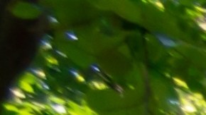 El sheriff destacó el trabajo conjunto de todas las agencias involucradas y el papel crucial del perro policía: