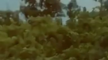 El Bayraktar es uno de los drones más conocidos que han sido desarrollados y fabricados por la compañía turca