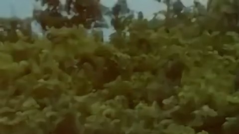 El Bayraktar es uno de los drones más conocidos que han sido desarrollados y fabricados por la compañía turca