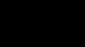 Aunque fue liberado bajo fianza, las autoridades calificaron el caso como un grave malgasto de recursos públicos