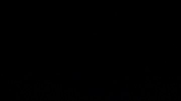 Aunque fue liberado bajo fianza, las autoridades calificaron el caso como un grave malgasto de recursos públicos