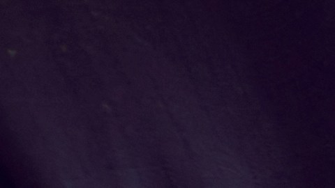 Lynn My Le fue detenida en el lugar y se negó a declarar durante el interrogatorio.