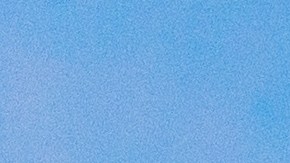 Hasta el momento, no se ha revelado la identidad del conductor ni los motivos detrás del incidente.