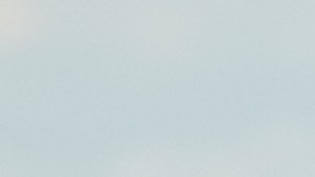 El acceso del conductor a la plataforma de Uber fue suspendido de inmediato tras conocerse el incidente.