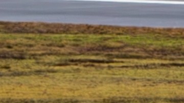 El incidente ocurre en medio de una serie de colisiones y cuasi accidentes registrados en aeropuertos estadounidenses durante los últimos meses.