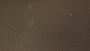 El Departamento de Pesca y Vida Silvestre de Oregón investiga el incidente y advierte sobre el peligro de alimentar a los coyotes.