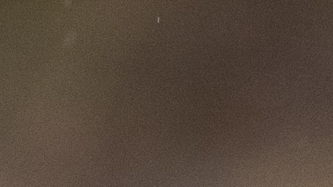 El Departamento de Pesca y Vida Silvestre de Oregón investiga el incidente y advierte sobre el peligro de alimentar a los coyotes.