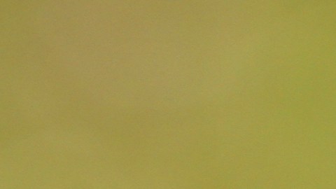 El universo envía señales claras de suerte para 3 signos del zodiaco.