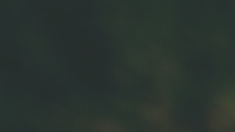 Aunque resulta divertido que los niños y adultos salgan a las calles con disfraces para pedir dulces, es interesante que conozcas la realidad del "truco o trato".