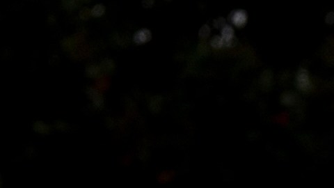 La Casa Blanca tendrá que encontrar otro candidato en un momento donde se buscan nuevos inversores.