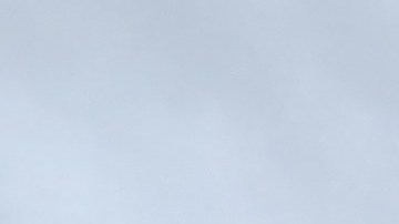 Walmart emplea cerca de 2,390 titulares de visas H-1B, lo que le convierte en el mayor usuario de este tipo de visado entre cadenas minoristas.