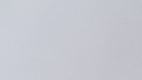 ¿Tienes alguna de estas monedas de 50 centavos? Pueden llegar a costar hasta $27,500