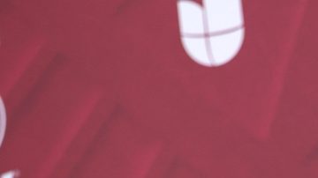 Lina Luaces sí apoyó a Miss México.