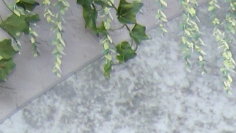 Angelique Boyer, Marcus Ornelas, Scarlett Gruber y Brandon Peniche dan el pizarrazo inicial de grabaciones de la telenovela "Doménica Montero".