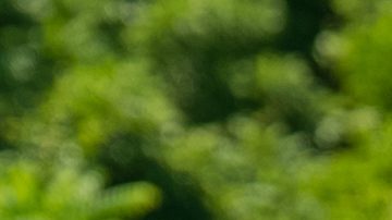 Christian de la Campa podría abandonar la competencia.