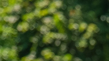 Moi fue eliminado de la competencia.