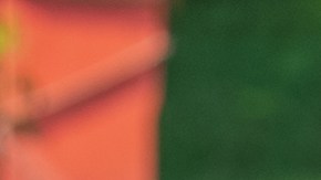 Hoy será un día decisivo para las águilas.