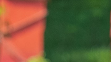 Hoy será un día decisivo para las águilas.